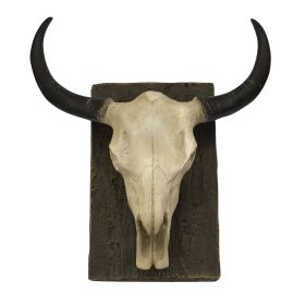 Steer Skull Wall Mount